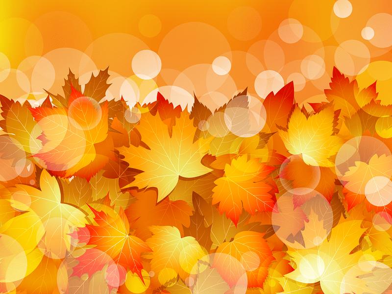 Vector de Maple Autumn