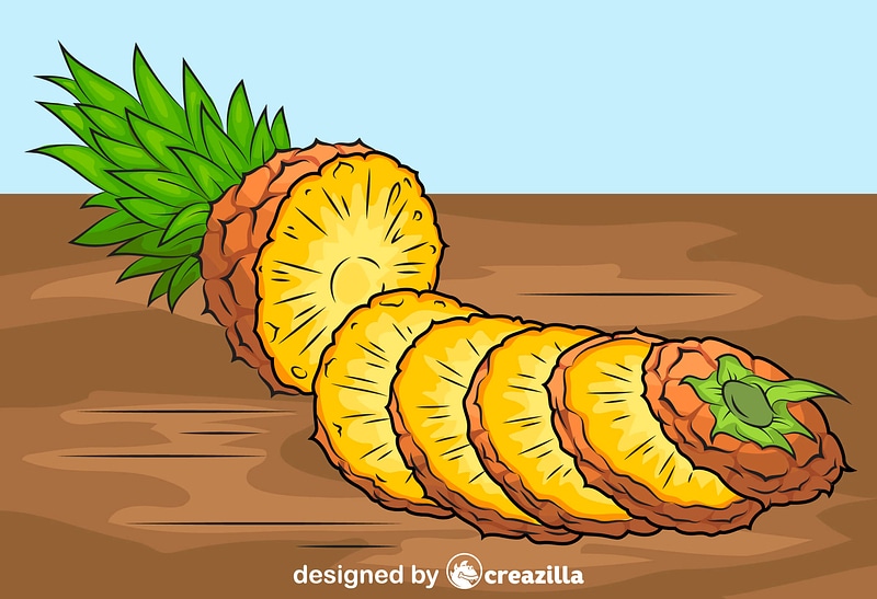 Pineapple Cut into Pieces vector. Free download. Creazilla