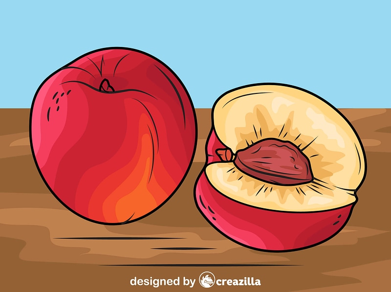 Nectarines vector. Free download. Creazilla