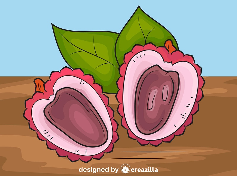 Lychee Cut in Half vector