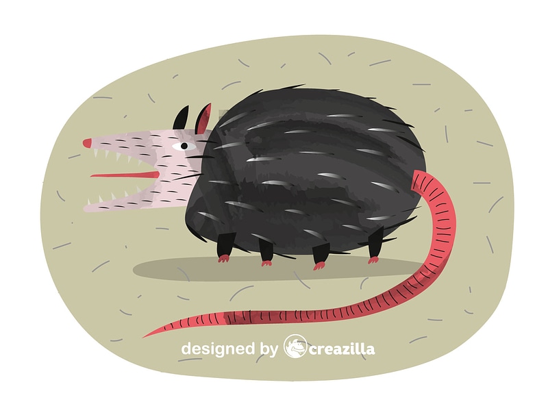 Grafika wektorowa: Possum